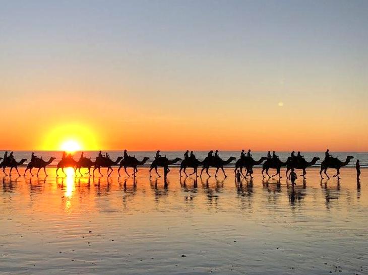 Experience Camel Riding by the Shore