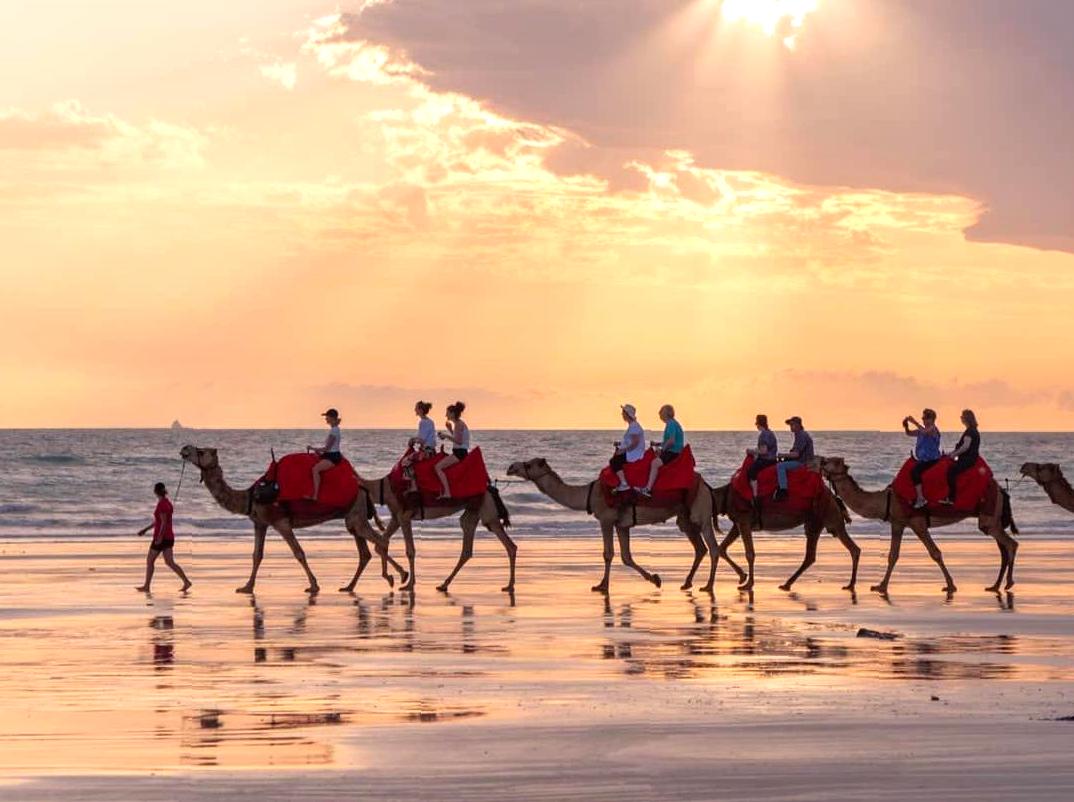 Enjoy a Beachside Camel Ride