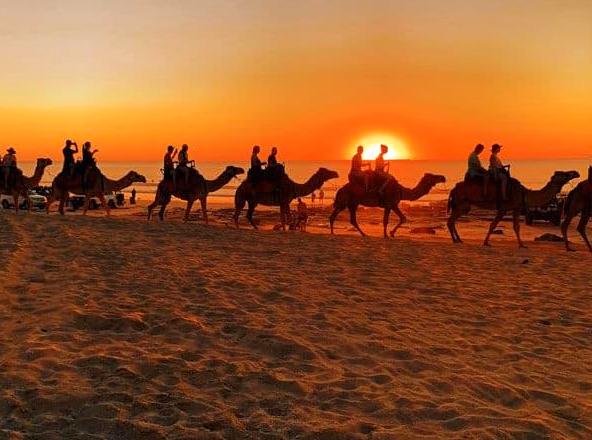 Camel Adventures on the Sandy Coast