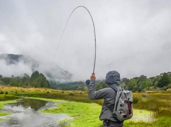 Fishing Voyages: Embark on a fishing journey to catch local species.