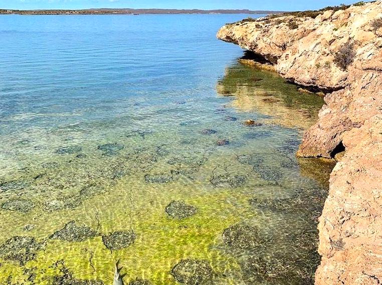 Experience the captivating history and nature of Dirk Hartog Island.