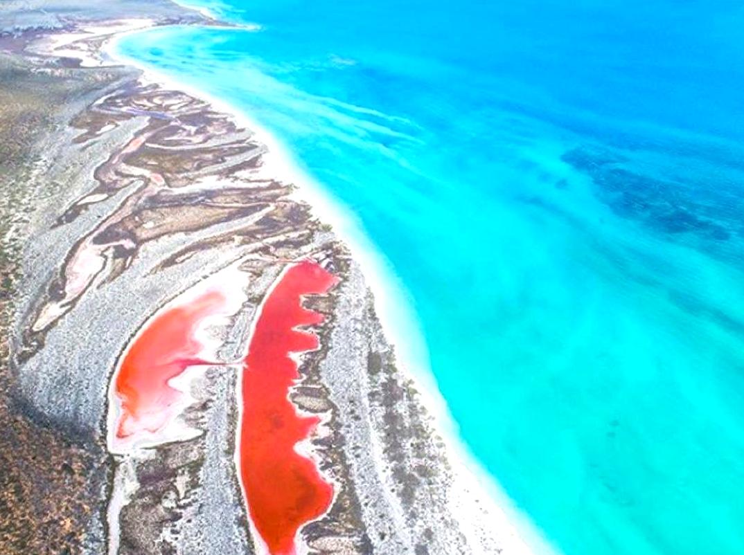 Journey through the historical richness and natural beauty of Dirk Hartog Island.