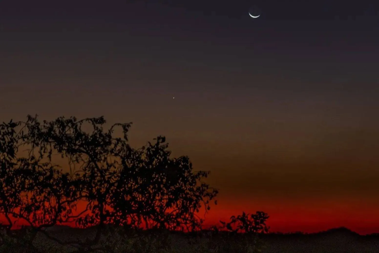 A Stargazer’s Heaven