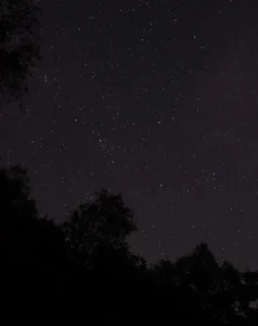 Why Visit Kakadu for Night Sky Viewing
