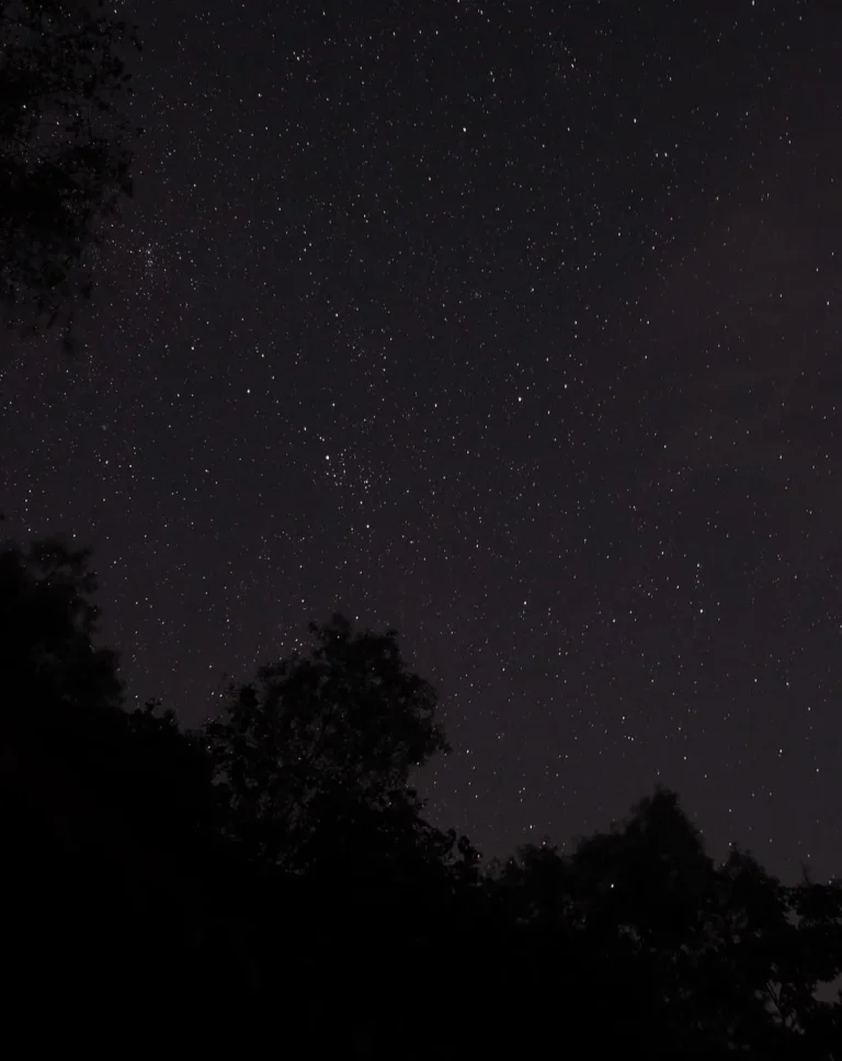Why Visit Kakadu for Night Sky Viewing