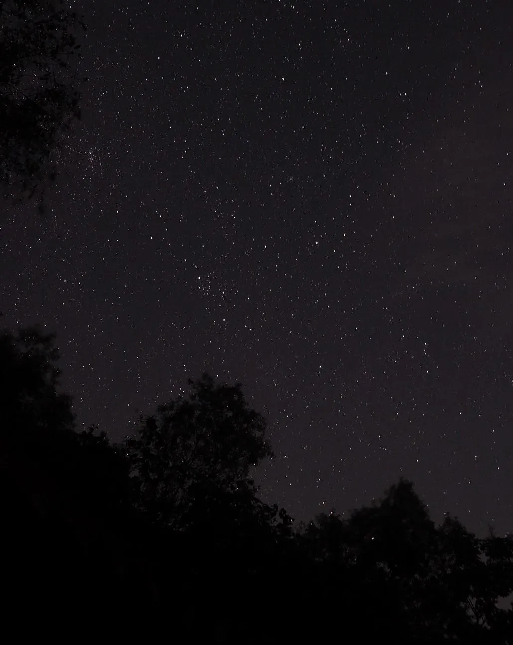 Why Visit Kakadu for Night Sky Viewing