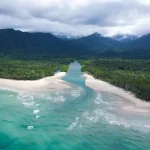 Explore The Rainforest Near Cairns