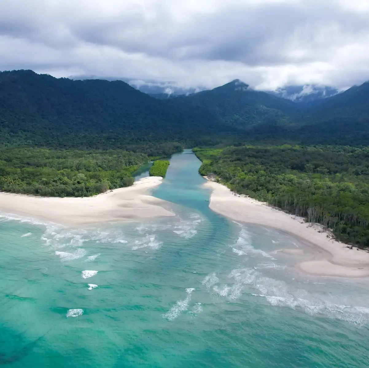 Explore The Rainforest Near Cairns