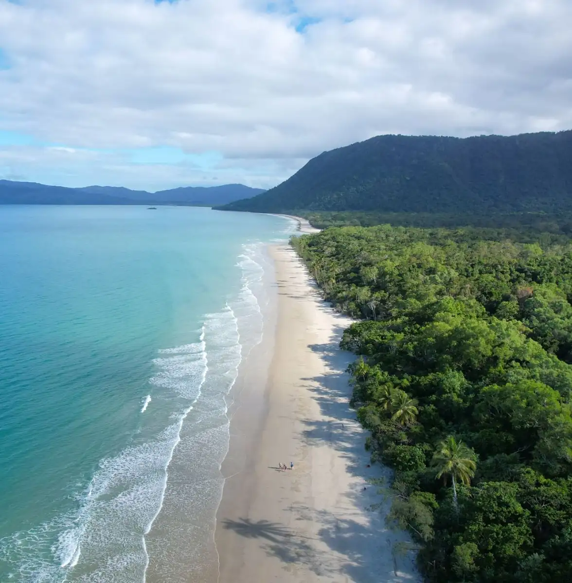 The Lush Rainforest of the Tropics, Australien East Coast Tour